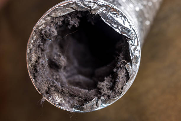 Reliable Terrace Heights, WA Airduct Cleaning Solutions