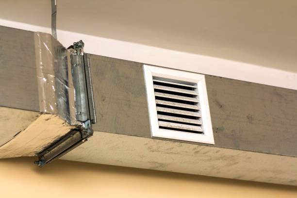 Best Affordable Air Duct Cleaning  in Terrace Heights, WA